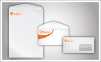Custom Printed Catalog & Booklet Envelopes (sku: 920)